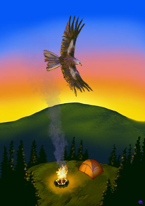 Mountain Camp Hawk Flyover, digital illustration made in Procreate on iPad, 2024