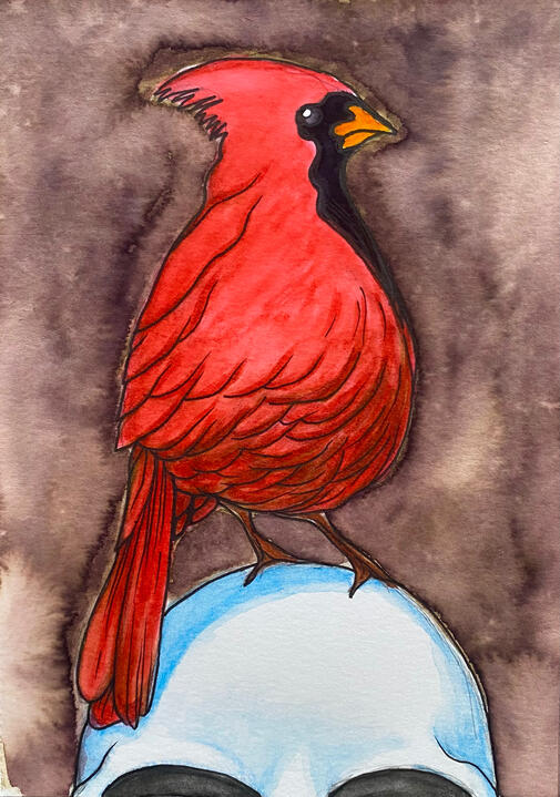 Cardinal, 5”x7”, watercolor marker on paper, 2026